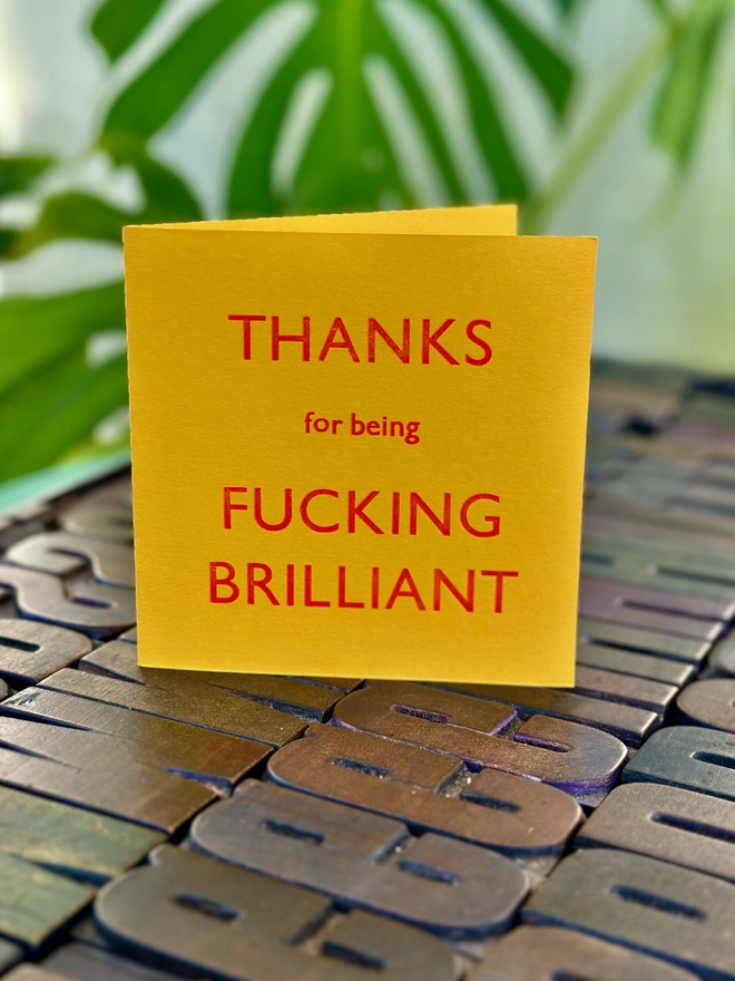 Thanks for Being Fucking Brilliant card letterpress printed yellow card on wooden type 