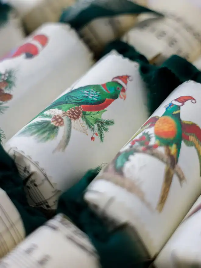 Christmas Parrot Crackers (Set Of 20)
