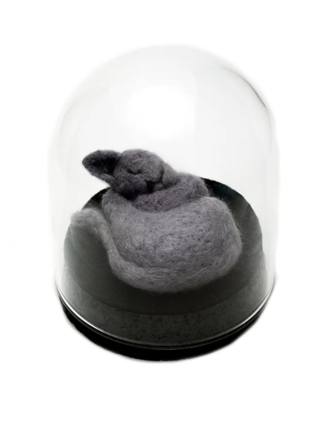 A grey sleeping cat, inside a glass dome. 