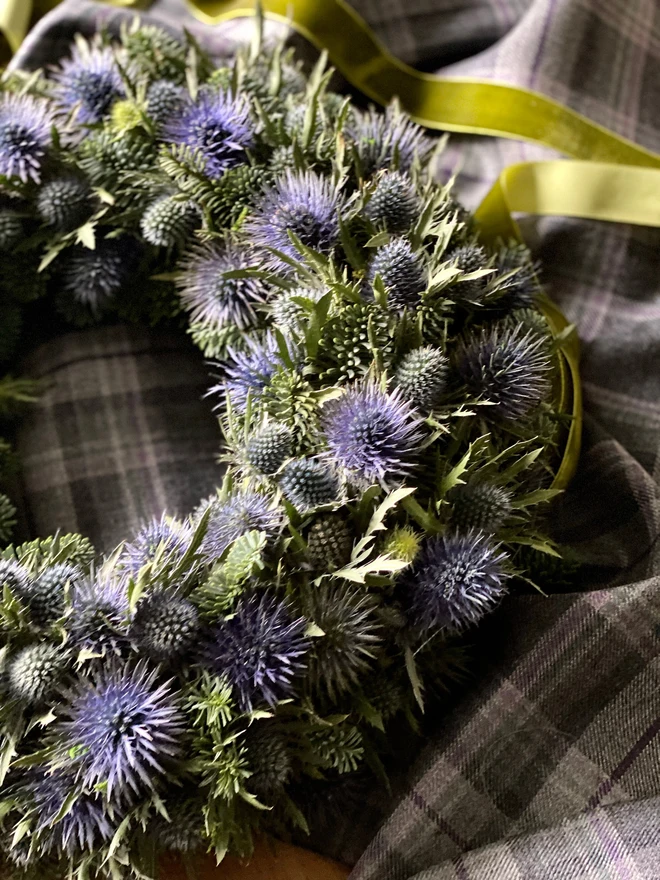 Christmas Foliage and Fresh Eryngium Thistle Wreath