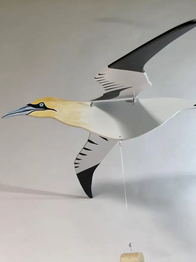 Side view of Gannet to see wingspan 