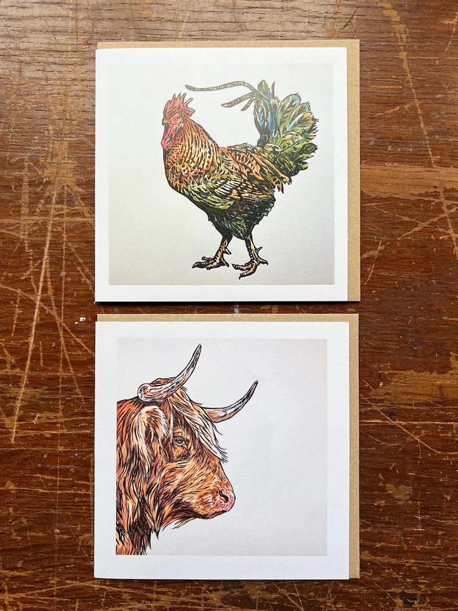 cockerel and highland cow art cards