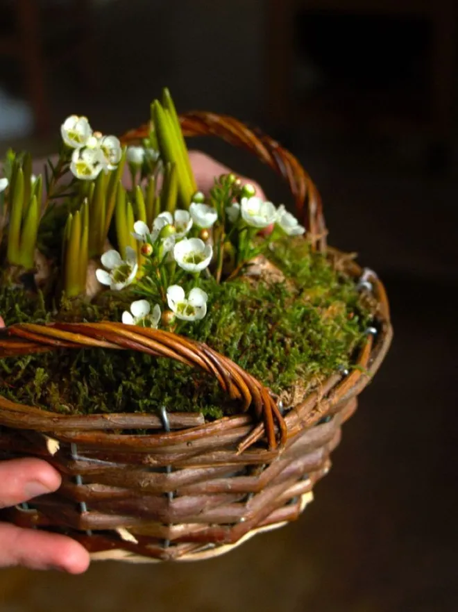 Christmas basket with hyacinths and wax flowers