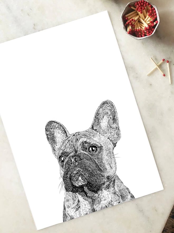 Art print of a hand drawn portrait of a French Bulldog laying on a table