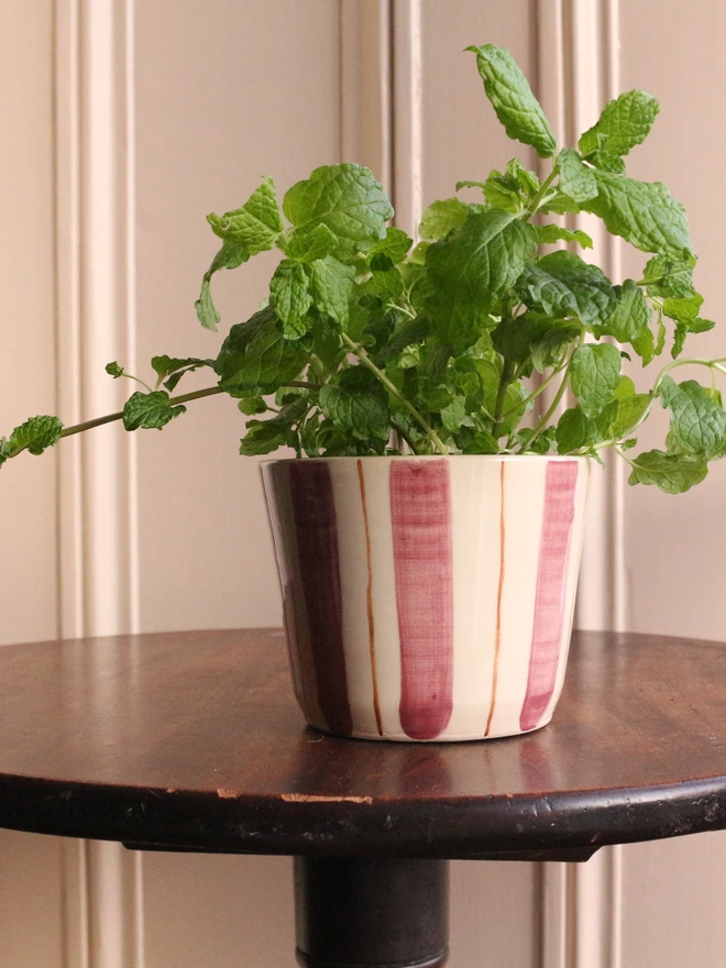 Handmade stoneware pot for your garden herbs