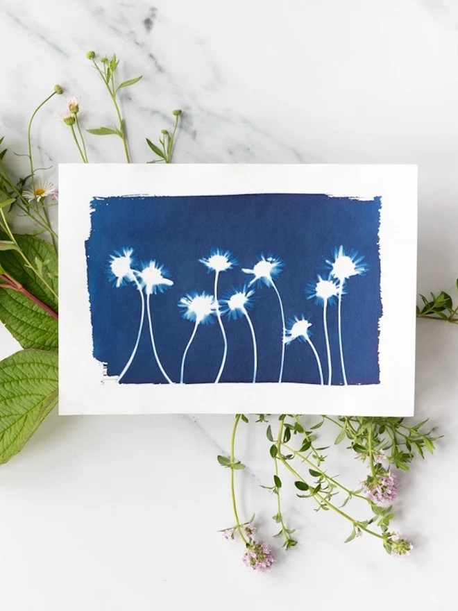 A5 Cyanotype Paper To Create Beautiful Prints With Sunlight
