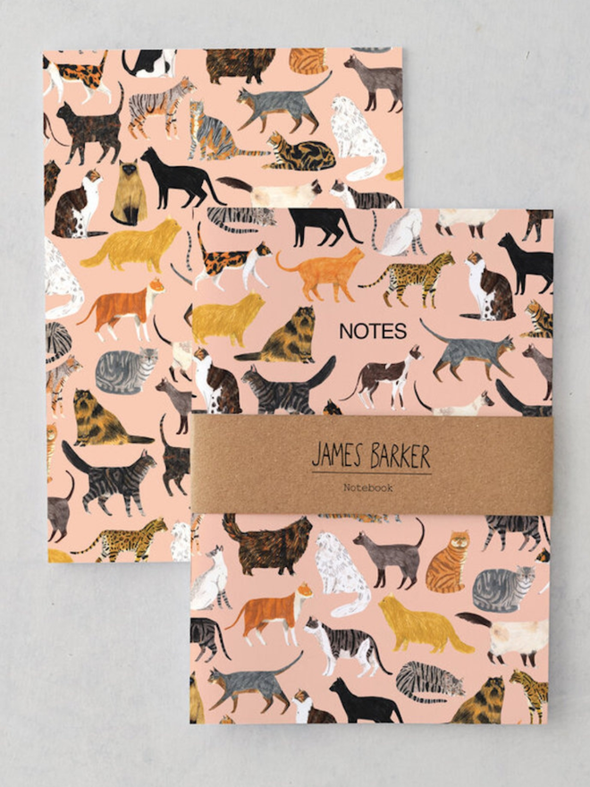 Cats A5 Notebook