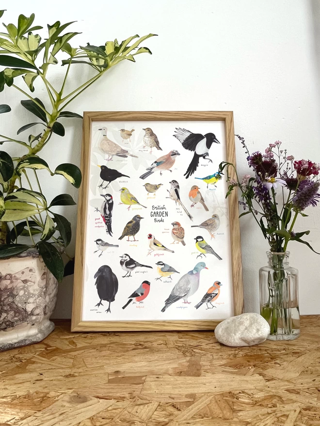 a print with a white background featuring illustrations of a large selection of British garden birds, in a frame next to a plant and some flowers