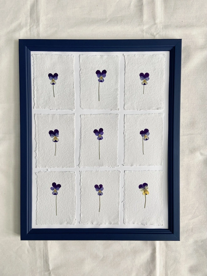 Framed blue and purple pansies in navy blue painted frame