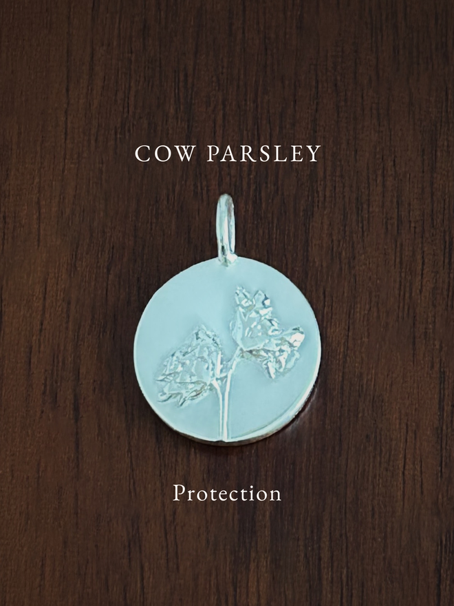 Sterling Silver Cow Parsley Coin Charm on a dark background with the language of flowers meaning, protection