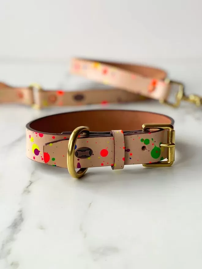 Paint Box Collar | Hand-Painted Leather Dog Collar | Neon