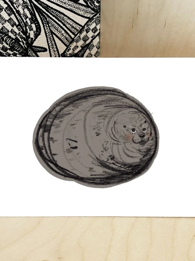 Seal Postcards (Set Of Four) 