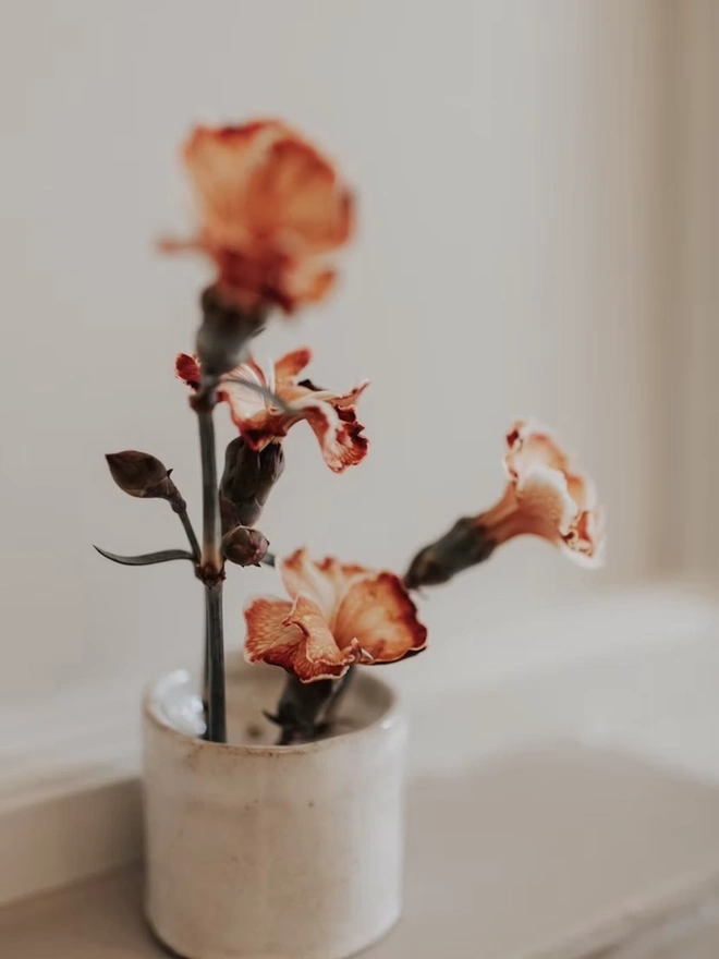 Ikebana, ceramic vase pictured with pink flowers on a ledge. 