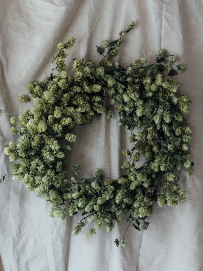 Green Dried Hop Wreath on a White Background