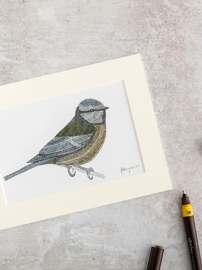 Note card with intricately patterned pen and watercolour drawing of a Blue tit bird, in a soft white mount