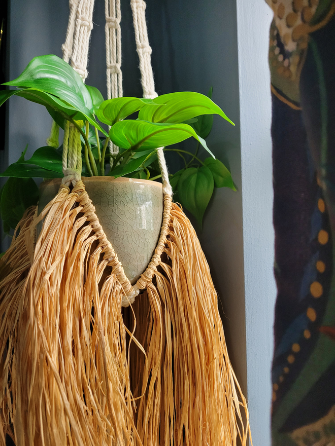 macrame plant hanger plant pot trailing natural sustainable 100%natural 