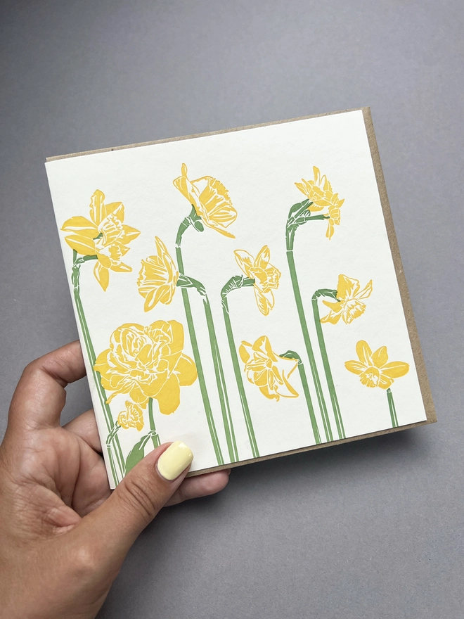 this image shows our lovely daffodil card held in a woman's had to show scale and also shows off the lovely range of different types of daffodils