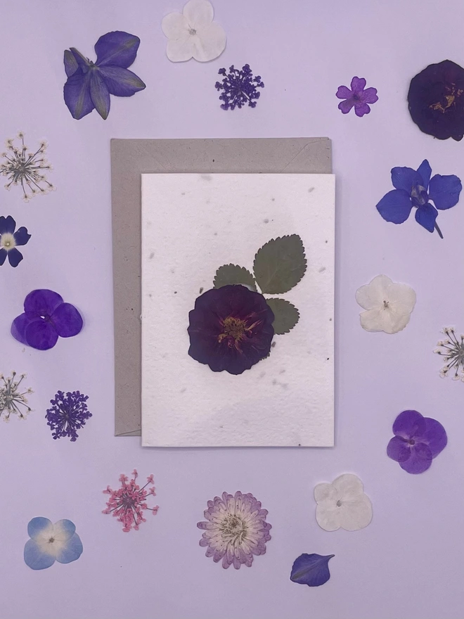 Real Pressed Flower Plantable Notecard, Purple Rose