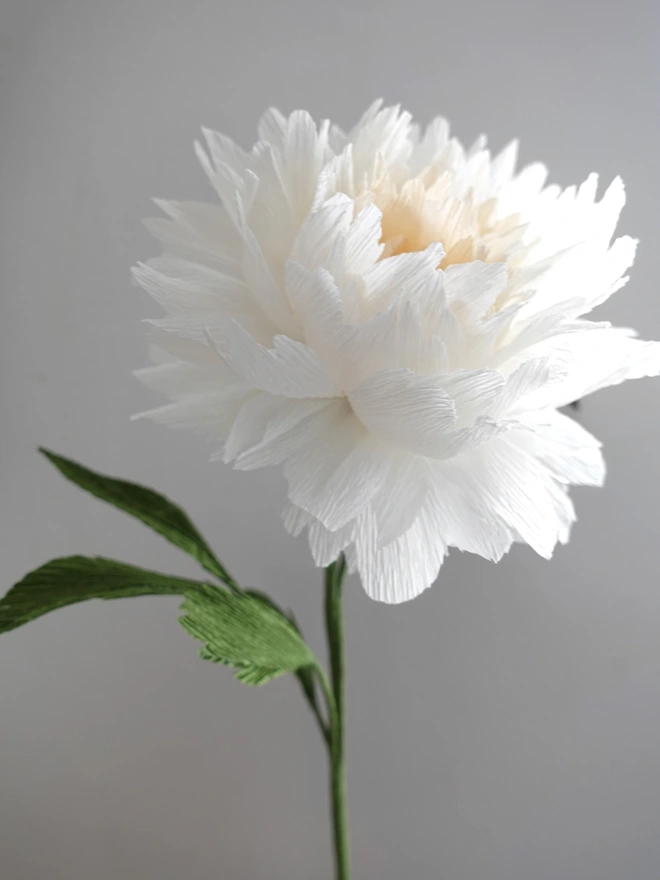 Crepe Paper Double Peony DIY Kit