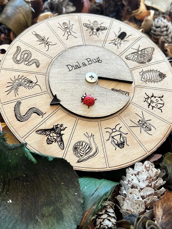 Round wooden insect identification dial toy engraved with detailed bug illustrations, featuring a rotating pointer labeled ‘Dial a Bug’ and a small red ladybird marker, displayed on forest floor materials.