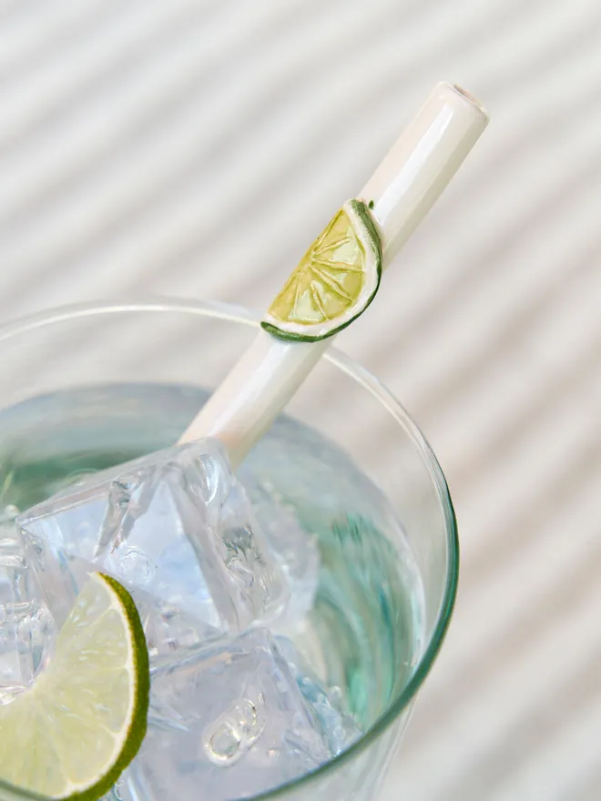 Citrus Ceramic Reusable Drinking Straws (Set Of 2 Or 3)