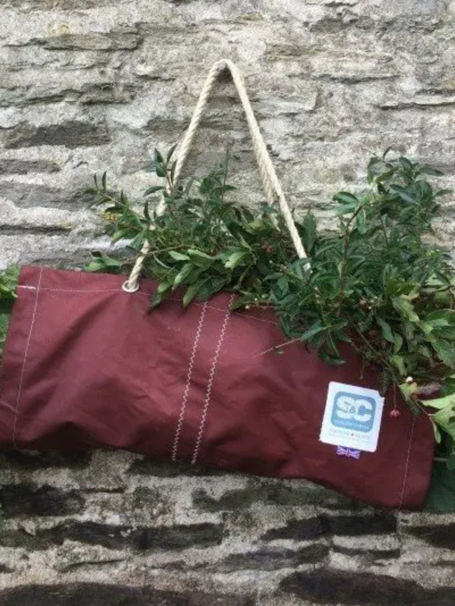 large forage foliage plant log bag