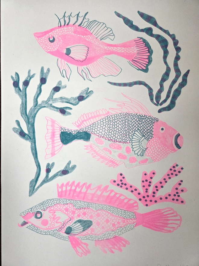 pink and blue risograph print of 3 fish and seaweed