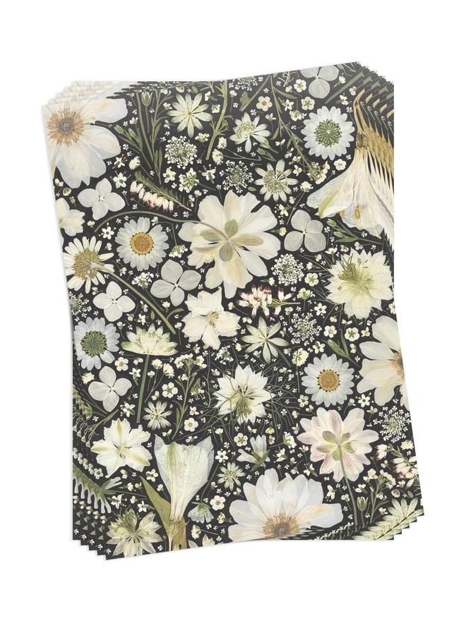 Pack of 5 Folded birthday wrapping paper sheets with a black and white floral design created from pressed flowers.