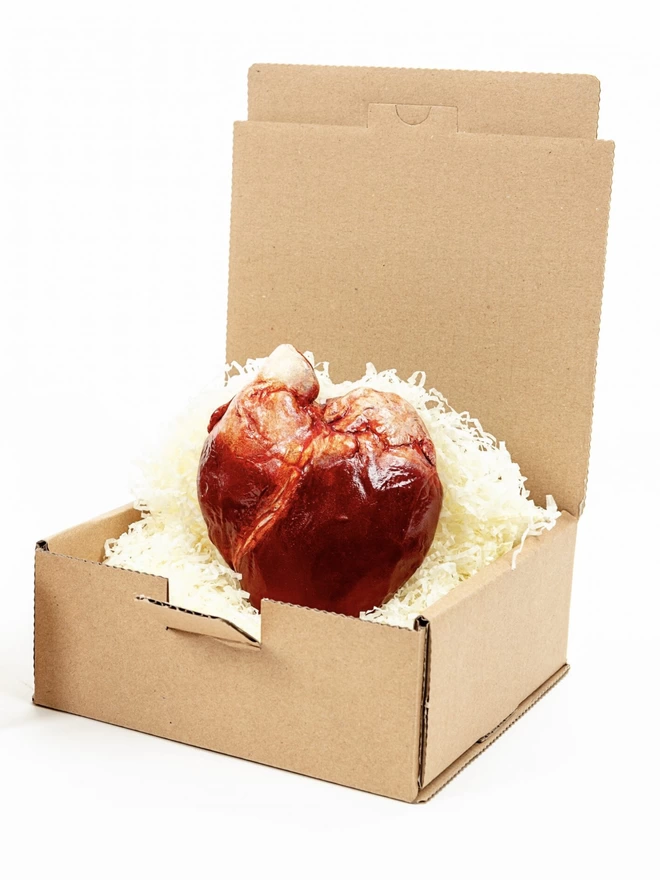 Realistic chocolate human heart in box with shredded paper
