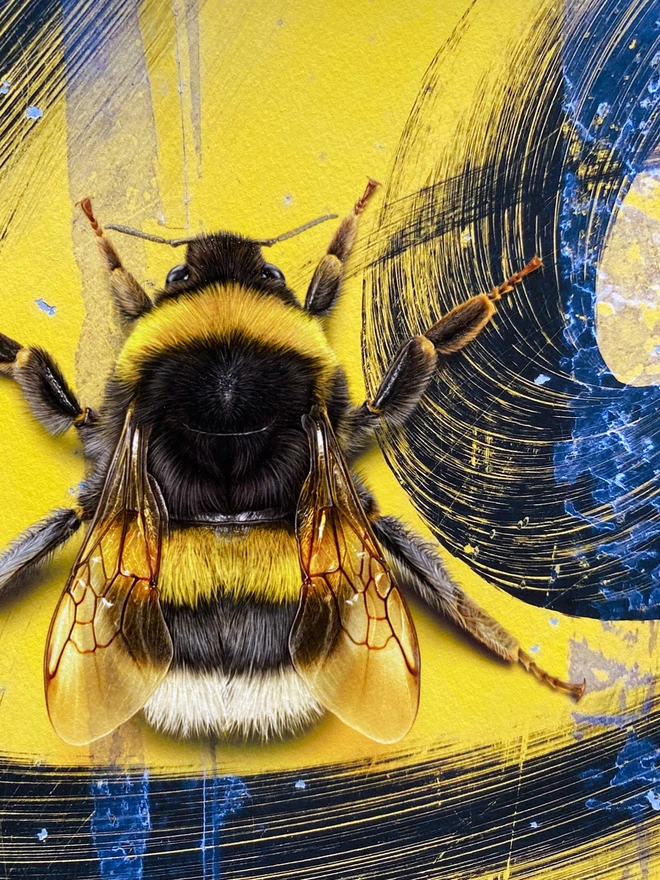 Bumblebee close up details of the painting, showing close up detail of wings and structure of the bee.