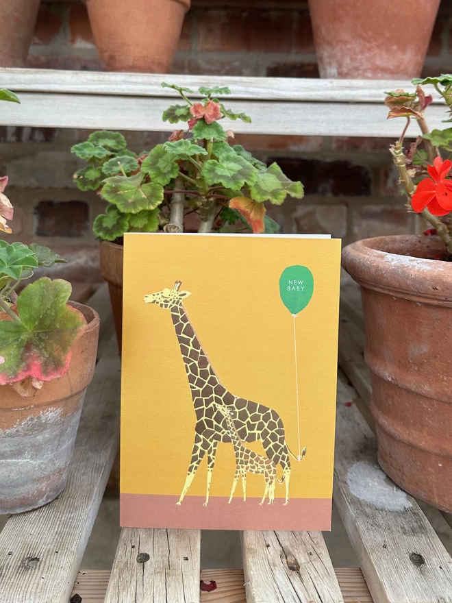 giraffe new baby card