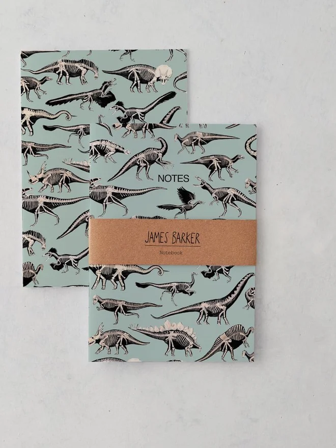 Dinosaur Fossils Notebook