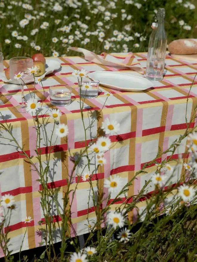 Red, sand, pink and yellow gingham tablecloth in a field