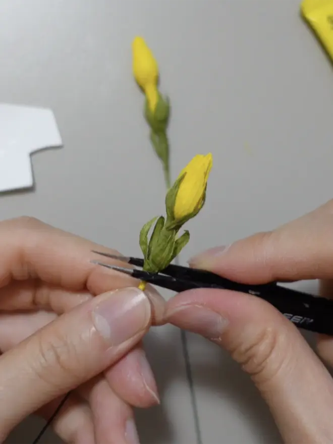 Crepe Paper Winter Jasmine DIY Kit
