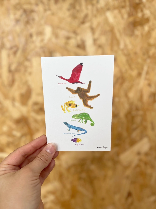 a greetings card featuring illustrations of animals in colours making up the rainbow with the text “have hope”