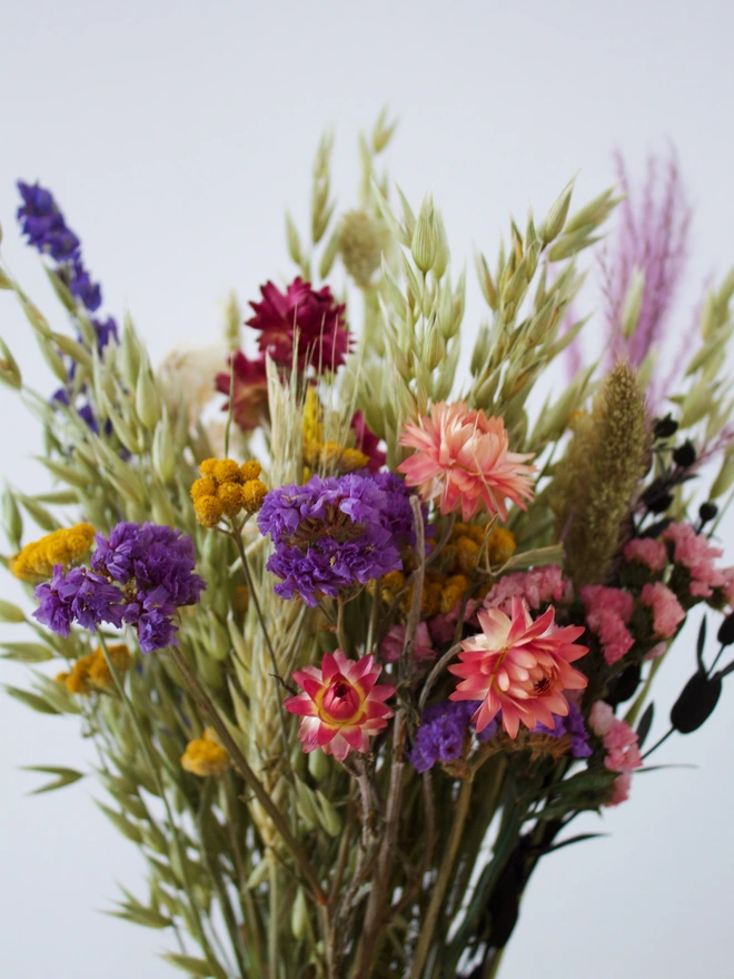 Everlasting dried flowers, natural dried flowers, bunny tails, pink flowers, dried flower bouquet, home , vase
