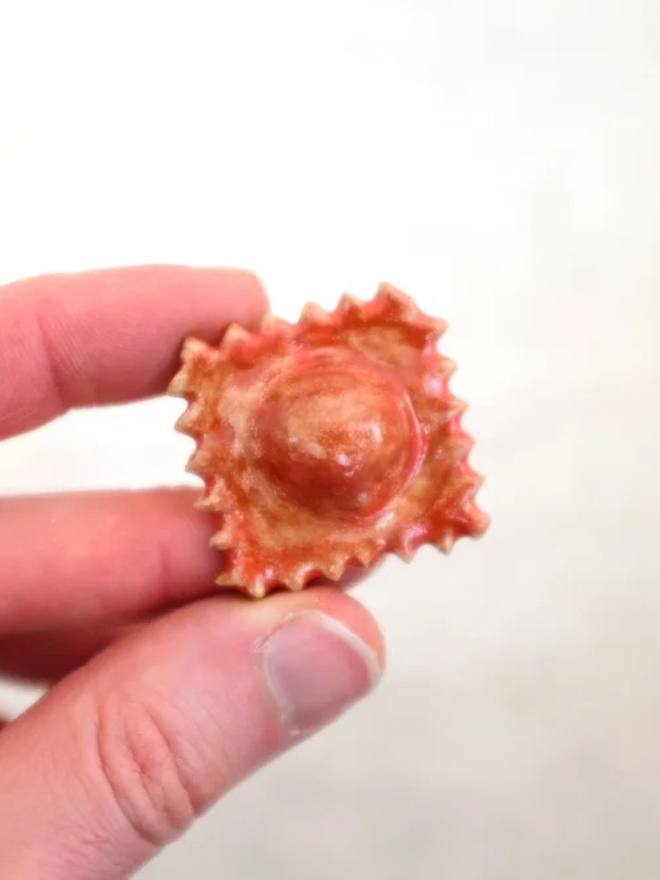 ceramic pasta magnet. a ceramic raviolini magnet photographed close up.
