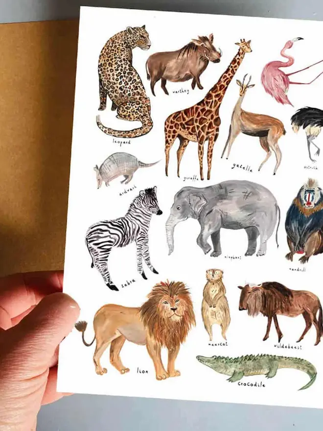Animal Temporary Tattoos, a "AFRICAN TATTOO" booklet sits next to a sheet of colourful ocean animal temporary tattoos.