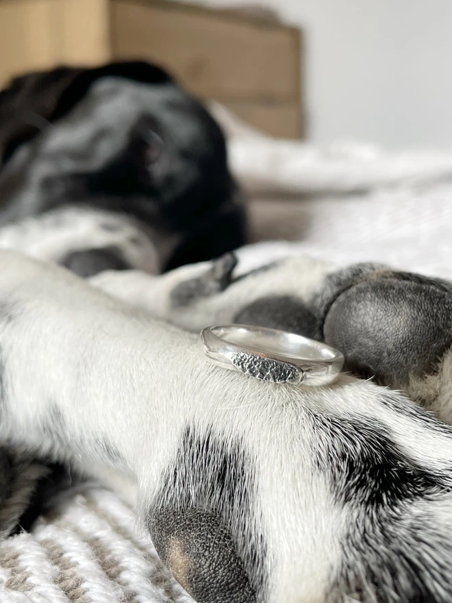 Make a recycled sterling silver or gold ring of your dog's individual nose or paw print, using our at home paw print ring kits. Perfect gift to remember your fur baby. Made by Celina C Jewellery, a small business in the UK, find on Holly and Co.