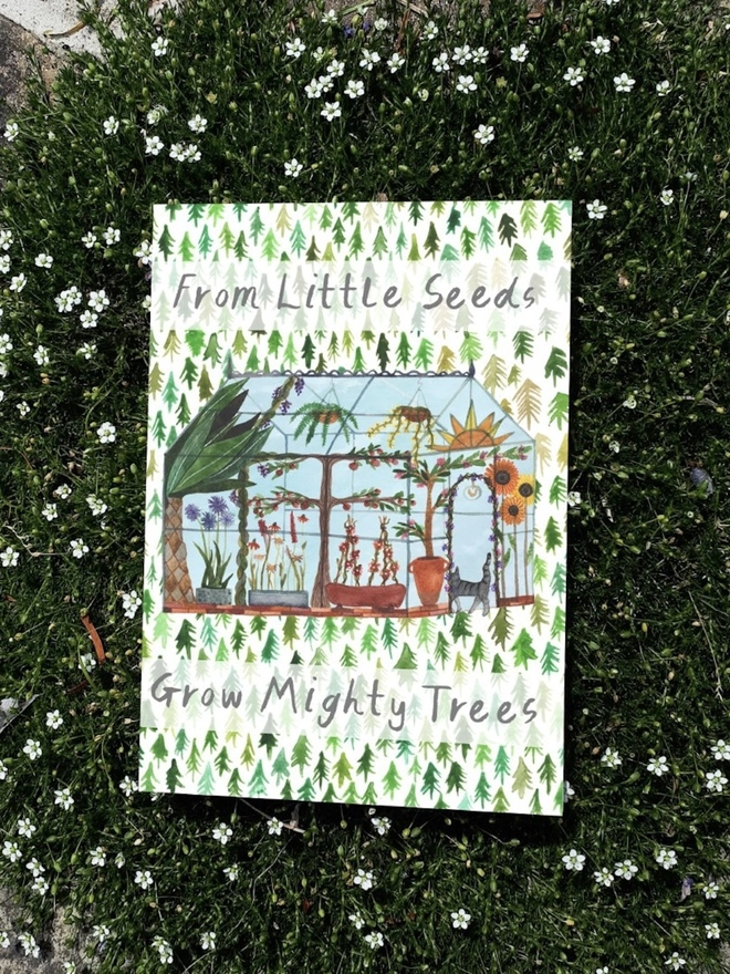 From Little Seeds Grow Mighty Trees Positive Future Greeting