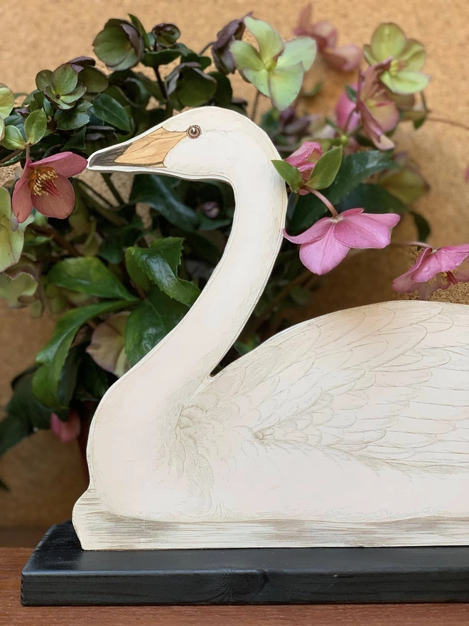 A cut out swan dummy board with hellebores