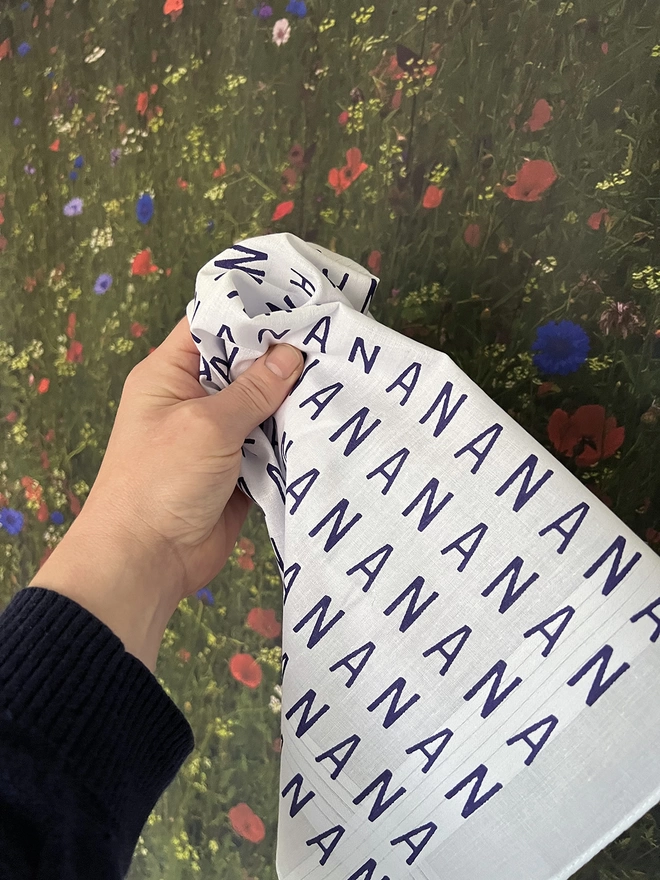 A Mr.PS NANA printed hankie held by a white hand against a meadow image