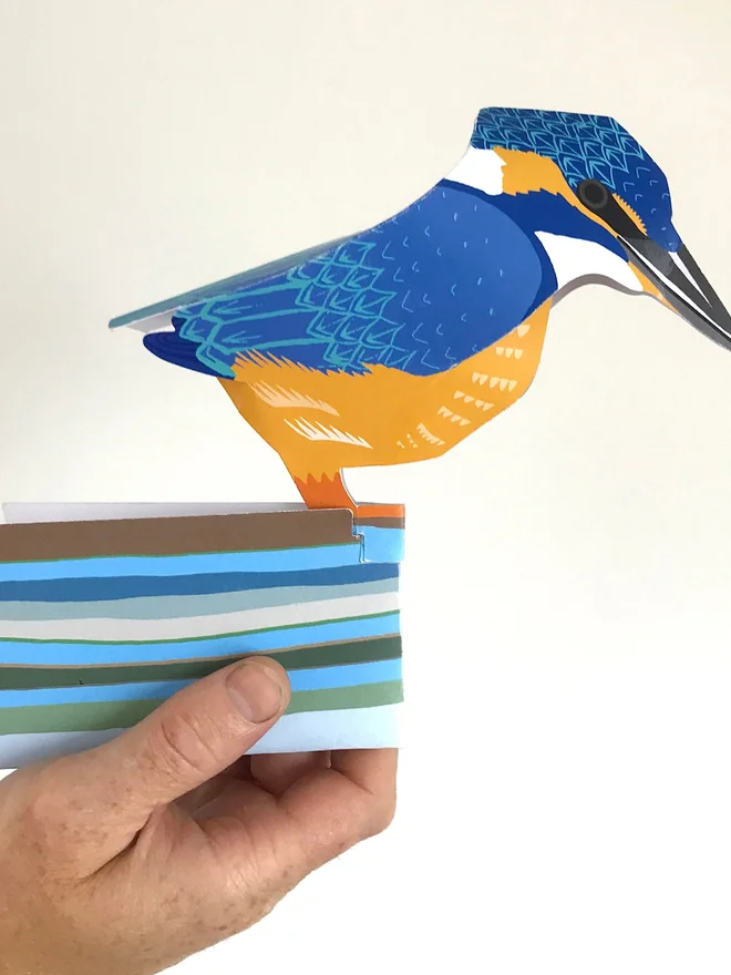 3d kingfisher pop out card