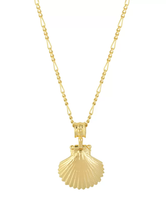 Finders Keepers Long Shell pendant on figaro chain in gold vermeil