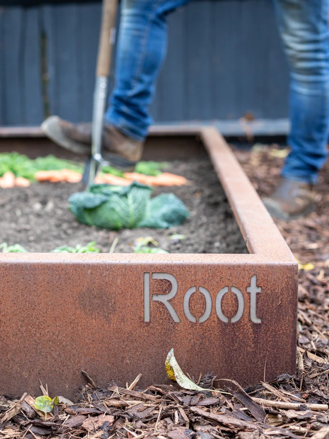 Braybrooke Corten Raised Bed Planters, planter in garden with produce growing.
