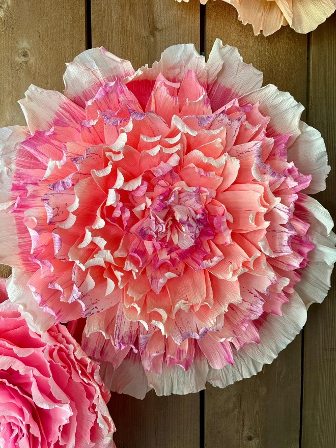 Crepe wall paper flowers