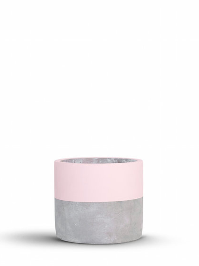 lucky dip concrete plant pot. a grey concrete plant pot with a pale pink stripe around the top half.