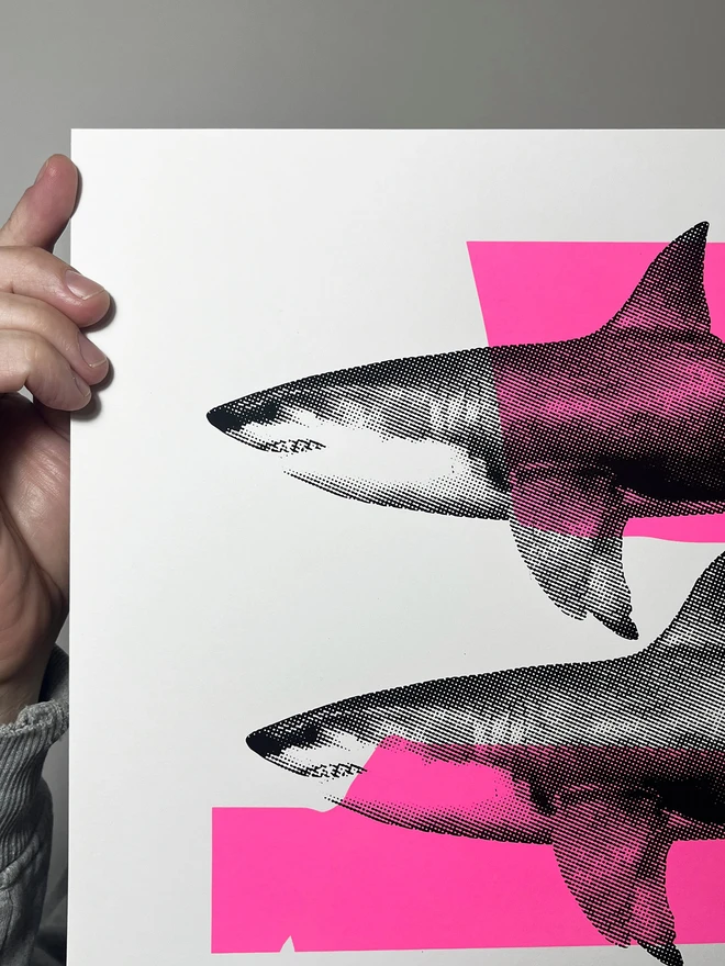 Shark Tank (Pink and Black) - Screen Printed Shark Poster - left close up