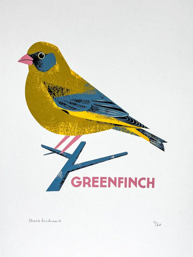 illustrated greenfinch print.