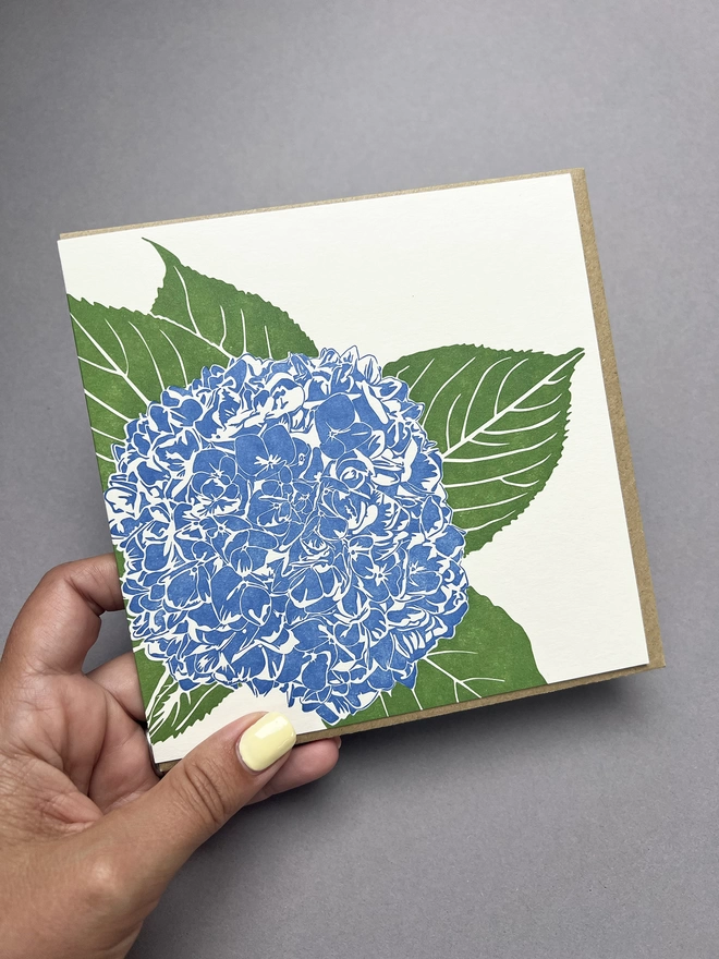 This gorgeous letterpress card shows a close-up of a large bloom on a hydrangea bush